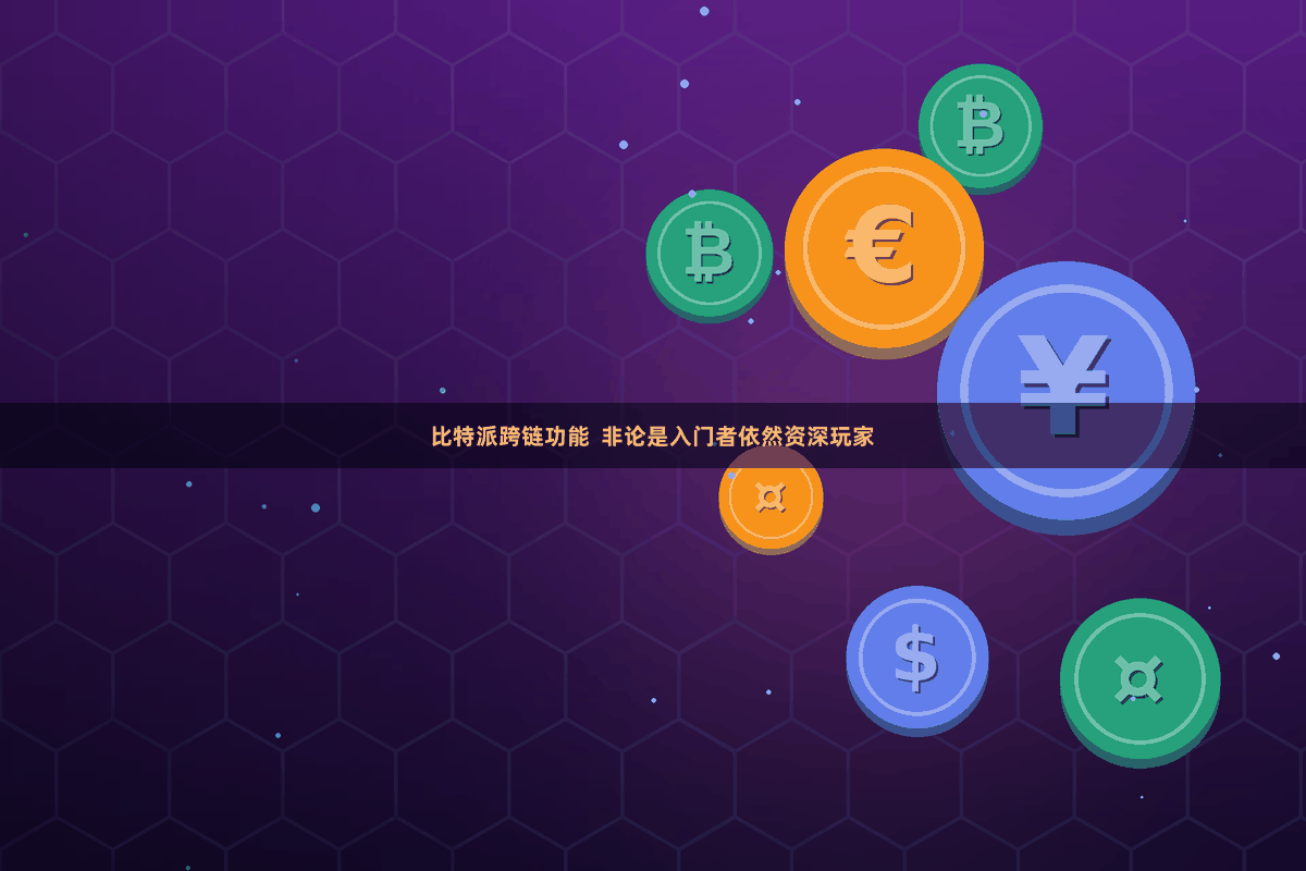 比特派跨链功能  非论是入门者依然资深玩家